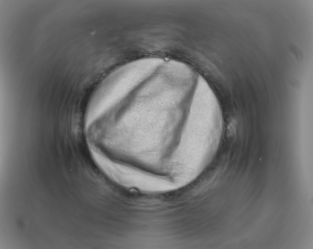 X0000113541156200910091237