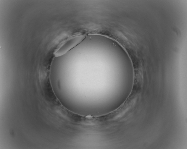 X0000113541157200910091237