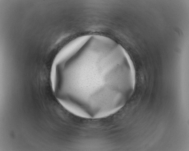 X0000113541158200910091237