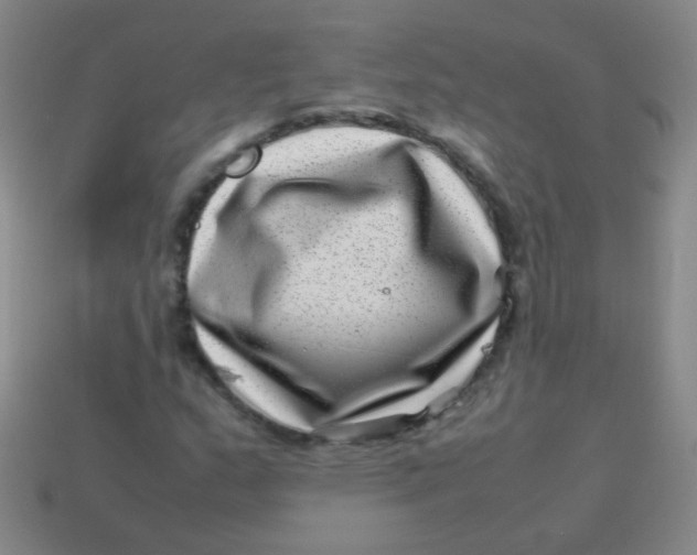 X0000113541159200910091237