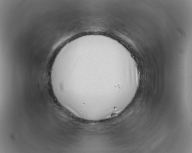 X0000113541160200910091237