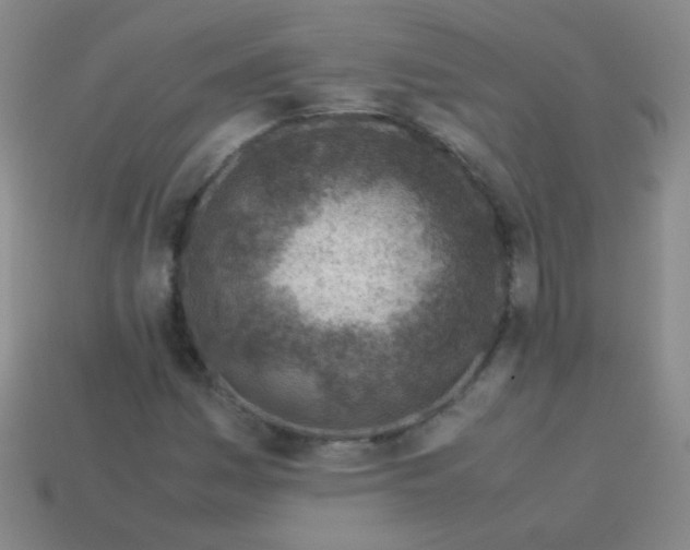 X0000113541161200910091237