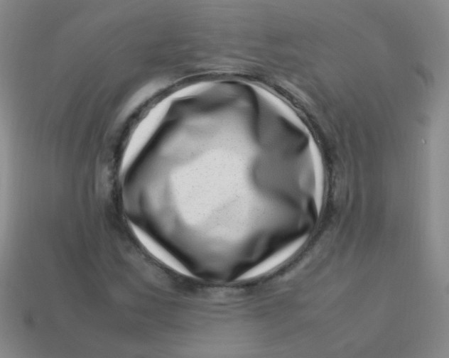 X0000113541163200910091237