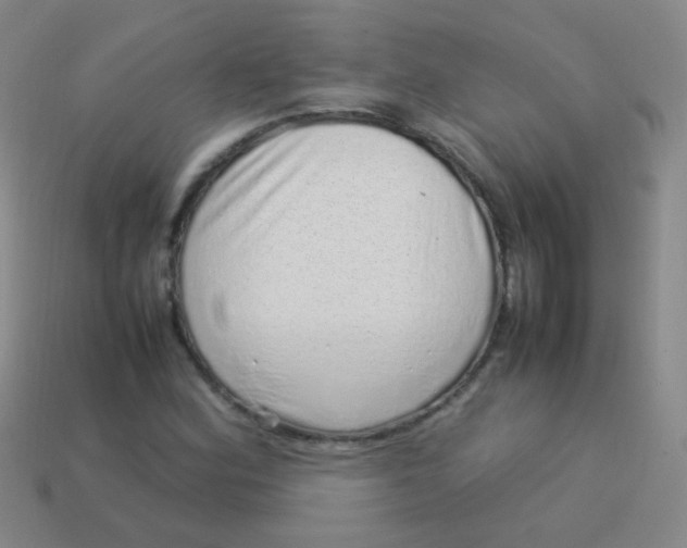 X0000113541164200910091237