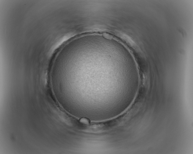 X0000113541165200910091237