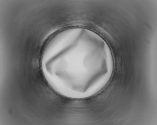 X0000113541166200910091237