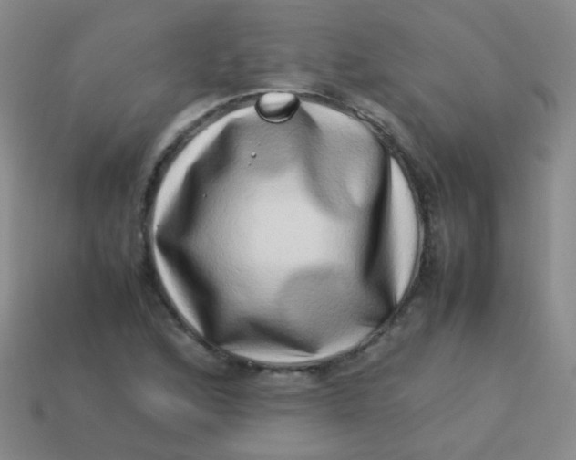 X0000113541168200910091237