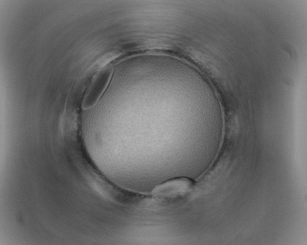 X0000113541169200910091237