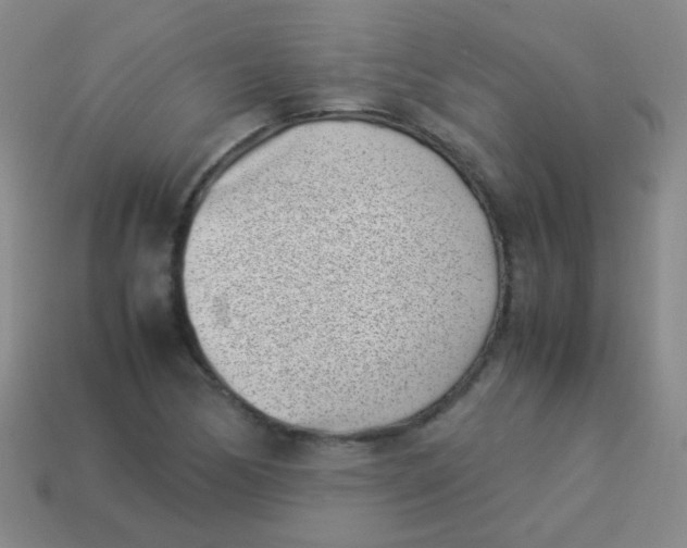 X0000113541170200910091237