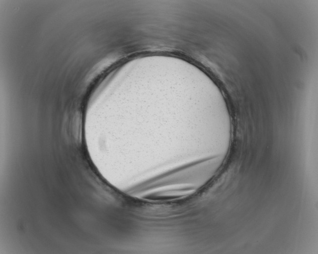 X0000113541171200910091237