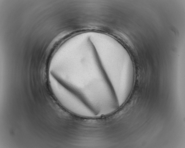 X0000113541172200910091237