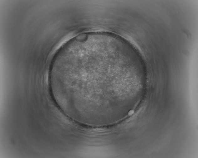 X0000113541173200910091237