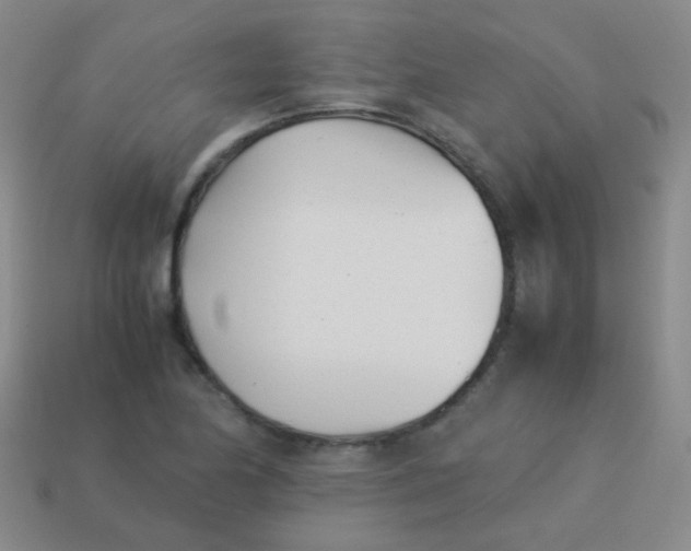 X0000113541174200910091237