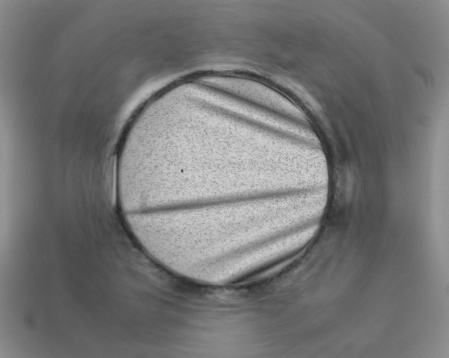 X0000113541175200910091237