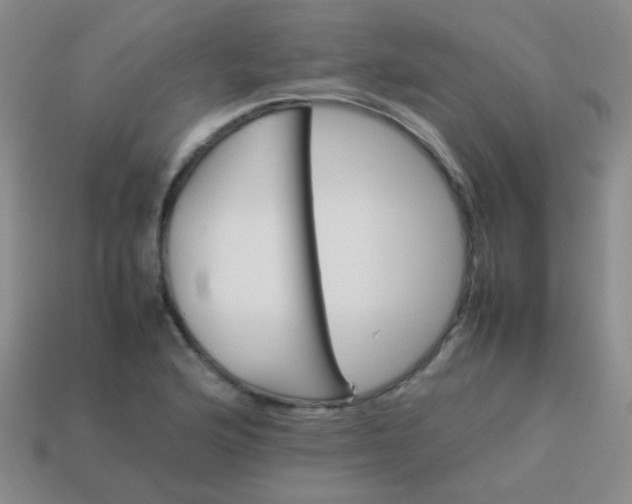 X0000113541176200910091237