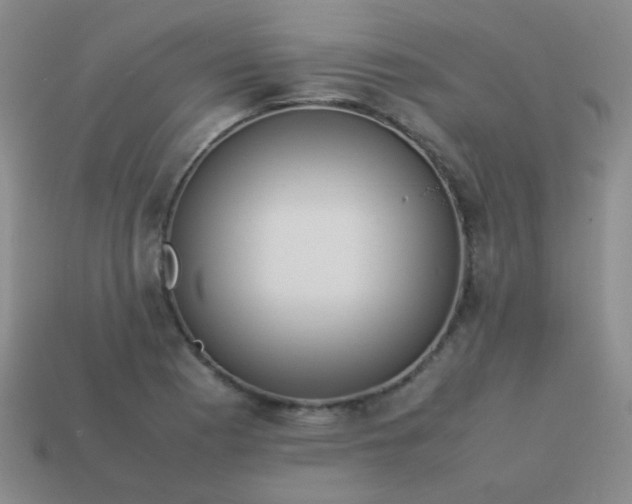 X0000113541177200910091237