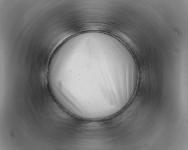 X0000113541178200910091237