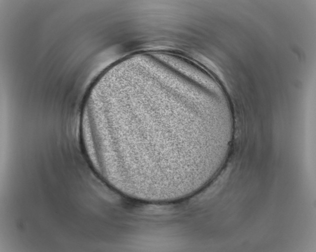 X0000113541179200910091237