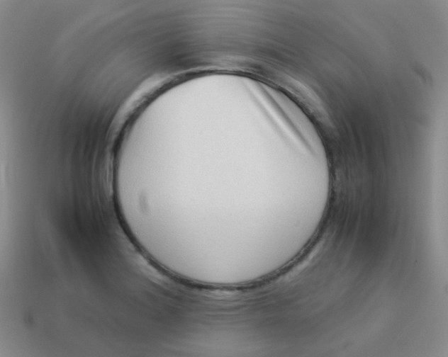 X0000113541180200910091237