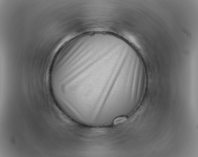 X0000113541181200910091237