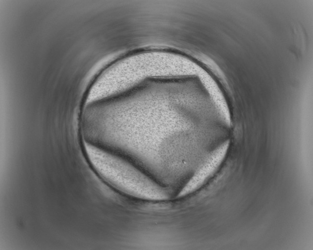 X0000113541183200910091237