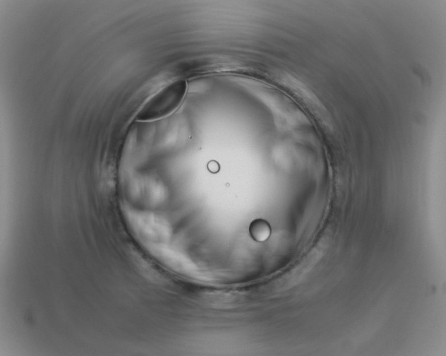 X0000113541185200910091237