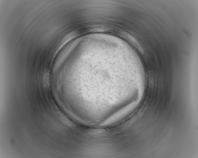 X0000113541186200910091237