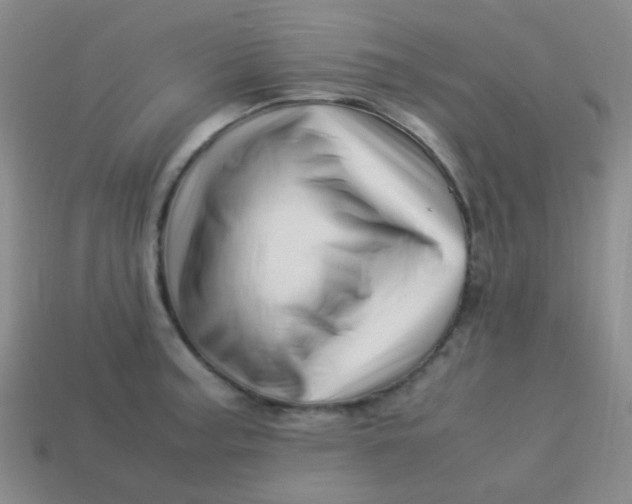 X0000113541187200910091237