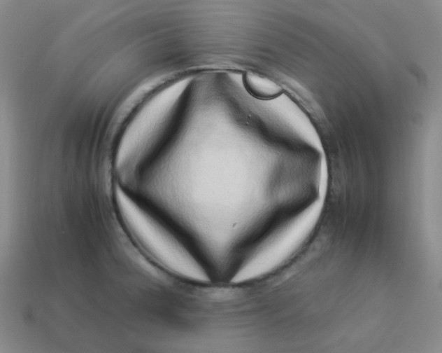 X0000113541188200910091237