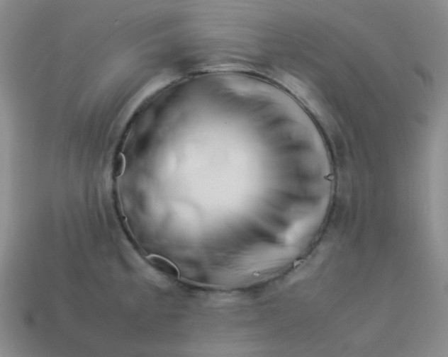 X0000113541189200910091237