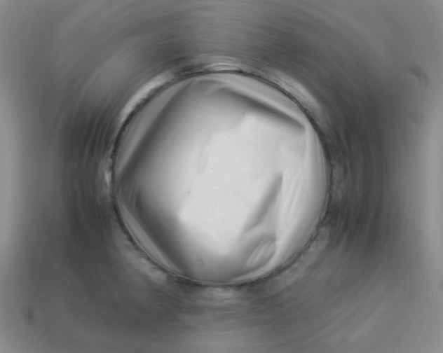 X0000113541190200910091237