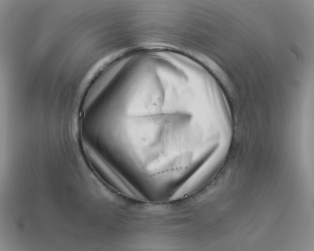 X0000113541191200910091237