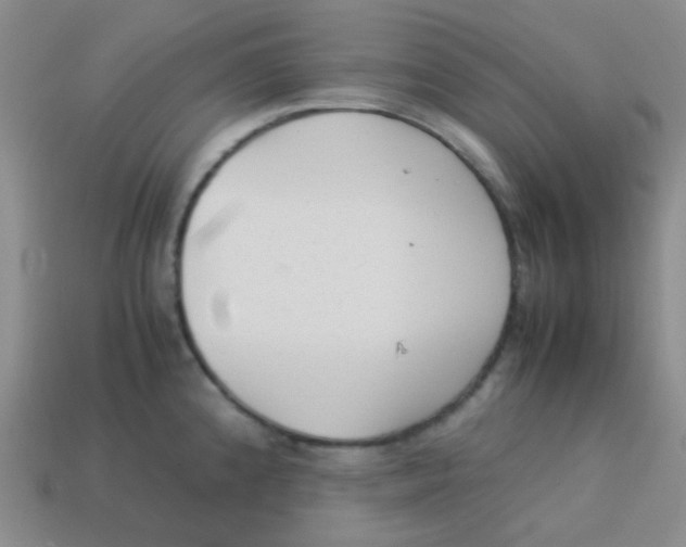 X0000113541192200910091237