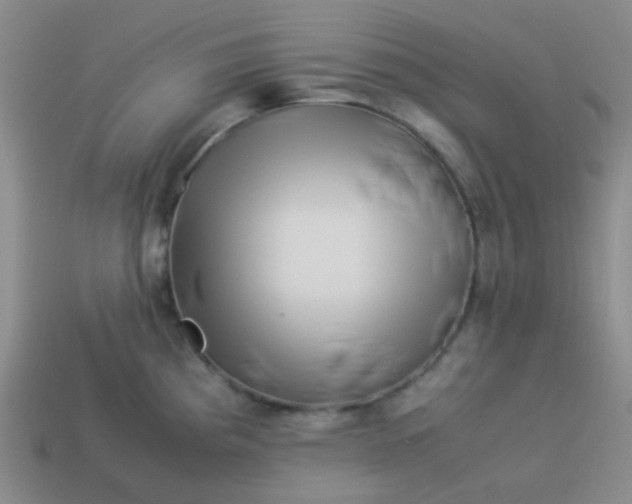 X0000113541193200910091237