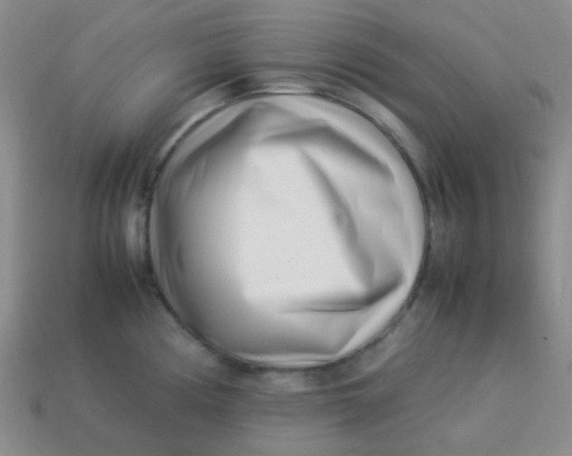 X0000113541194200910091237