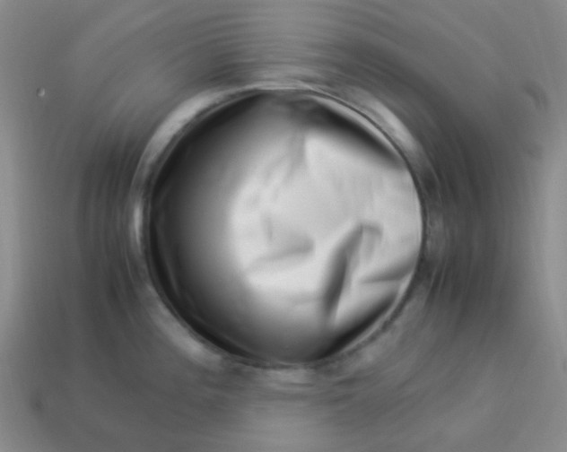 X0000113541196200910091237