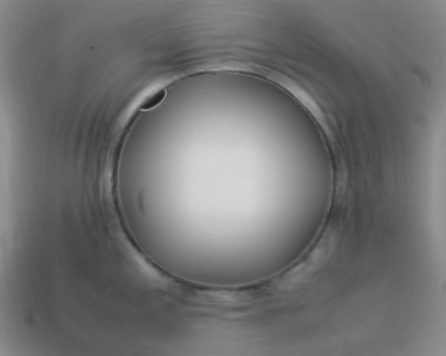 X0000113541197200910091237