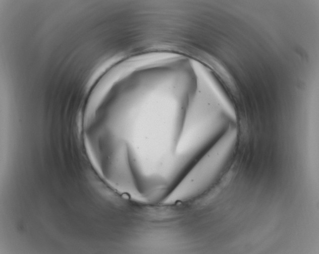 X0000113541198200910091237