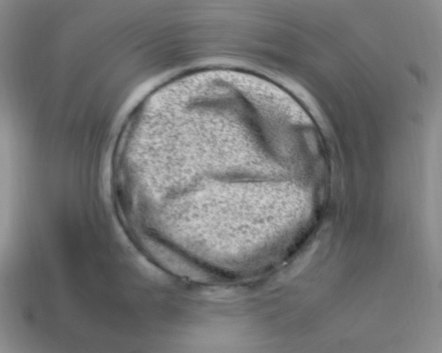 X0000113541199200910091237