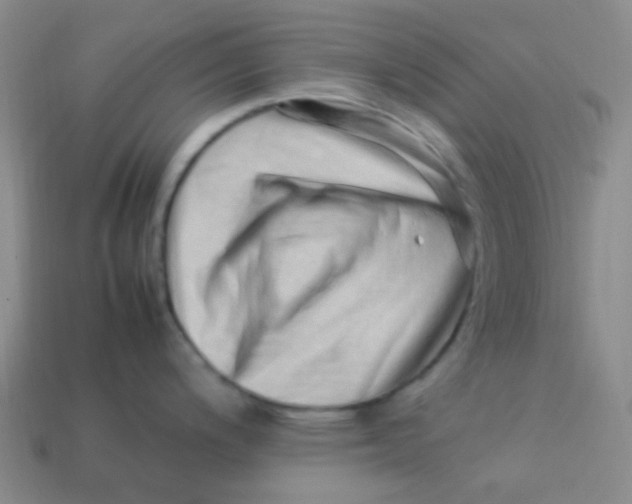 X0000113541200200910091237