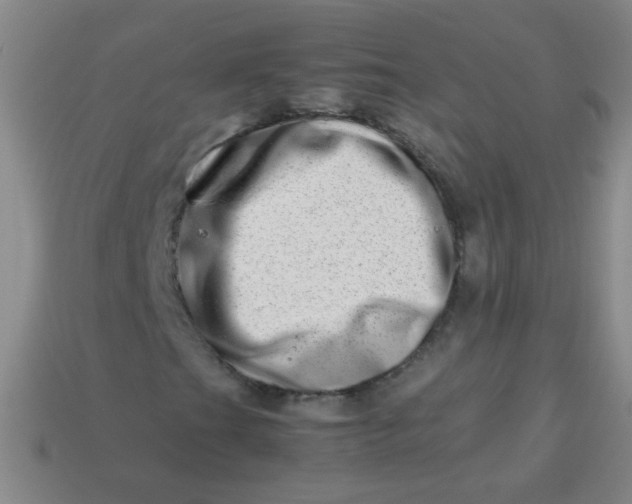 X0000113541201200910091236