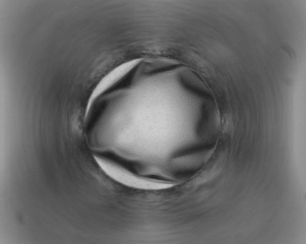 X0000113541202200910091236