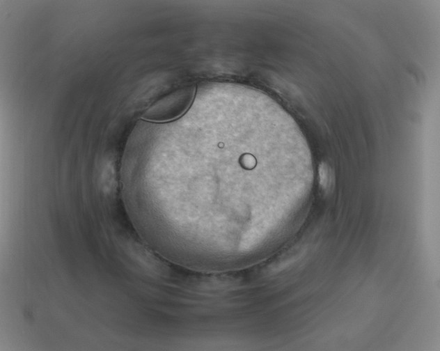 X0000113541203200910091236