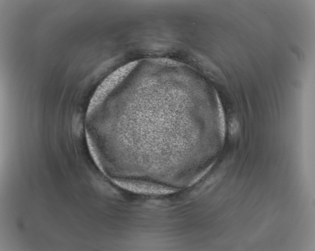 X0000113541204200910091236