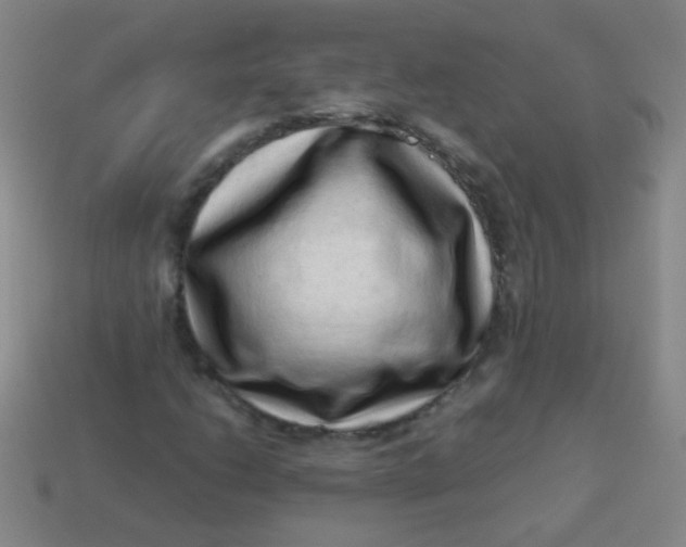 X0000113541206200910091236