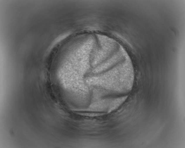 X0000113541207200910091236