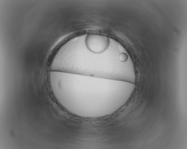 X0000113541208200910091236