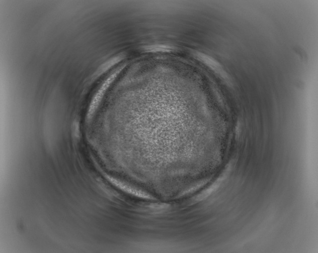 X0000113541209200910091236