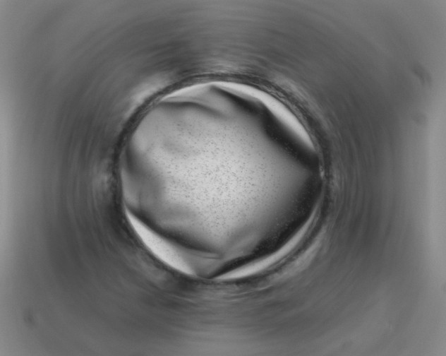 X0000113541210200910091236