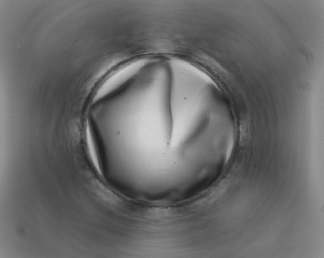 X0000113541212200910091236